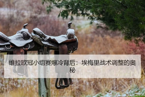维拉欧冠小组赛爆冷背后：埃梅里战术调整的奥秘