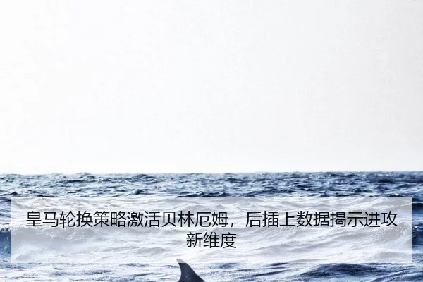 huang-ma-lun-huan-ce-lve-ji-huo-bei-lin-e-mu-hou-cha-shang-shu-ju-jie-shi-jin-gong-xin-wei-du-2-655.jpg