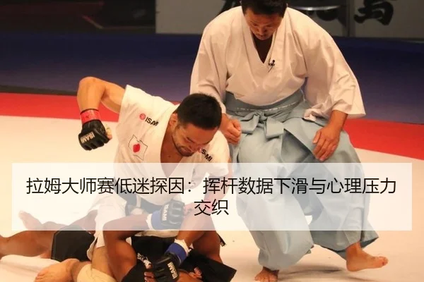 la-mu-da-shi-sai-di-mi-tan-yin-hui-gan-shu-ju-xia-hua-yu-xin-li-ya-li-jiao-zhi-2-817.jpg