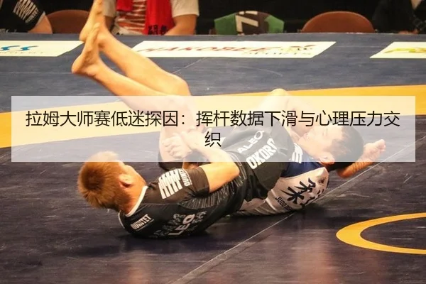 la-mu-da-shi-sai-di-mi-tan-yin-hui-gan-shu-ju-xia-hua-yu-xin-li-ya-li-jiao-zhi-3-833.jpg